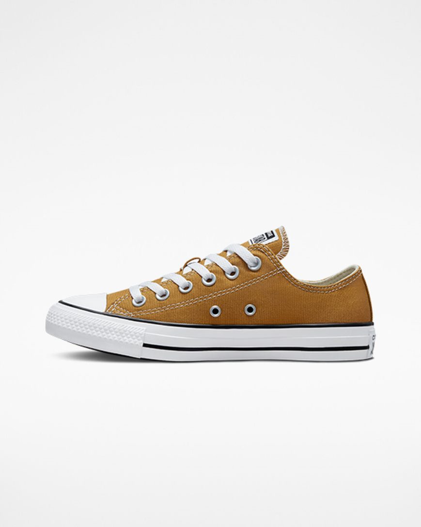 Women's Converse Chuck Taylor All Star Seasonal Color Low Top Shoes Orange | AU 1436CV